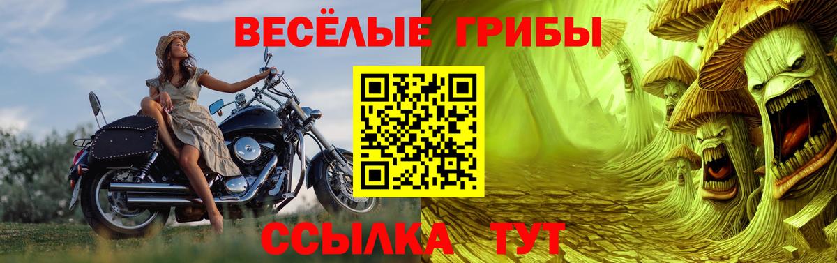 Сафоново  Псилоцибиновые грибы Cubensis  Вход с VPN 